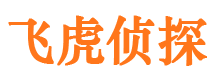 凤翔侦探